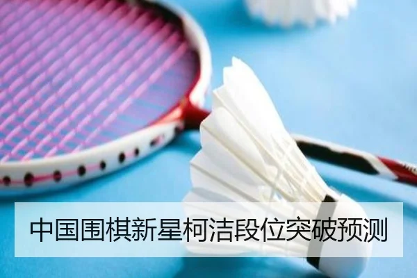 中国围棋新星柯洁段位突破预测